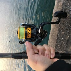 餌なしサビキ釣り